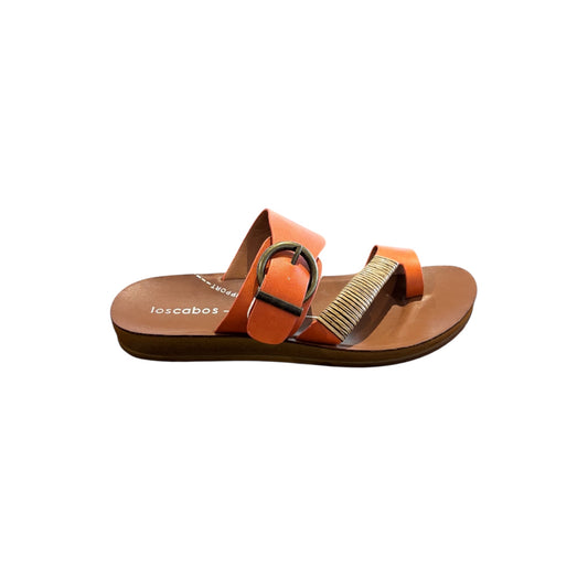 Briar Tangerine